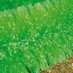 Black Knight Afzetborstels 150 cm Ø 13 cm – set van 2 stuks (in box)