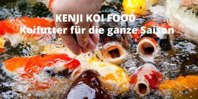 KENJI Koi Futter für die ganze Saison 