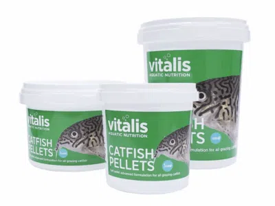 Vitalis Catfish Pellets für Katzenwelse