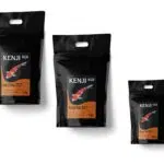 Baby Koifutter zur Aufzucht von kleinen Babykoi